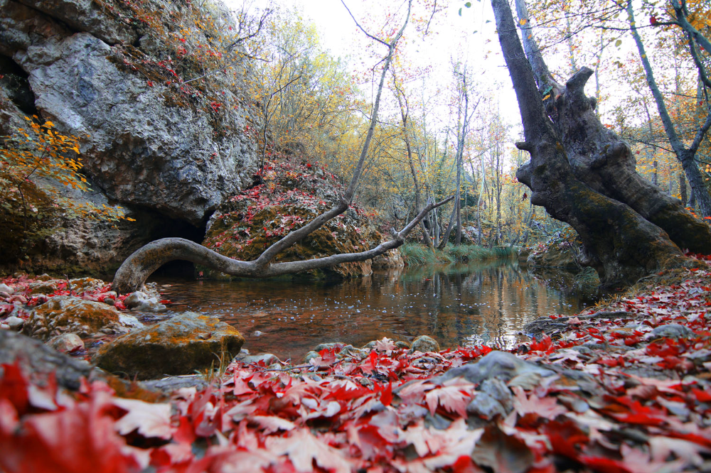 Safranbolu Fotoğrafları