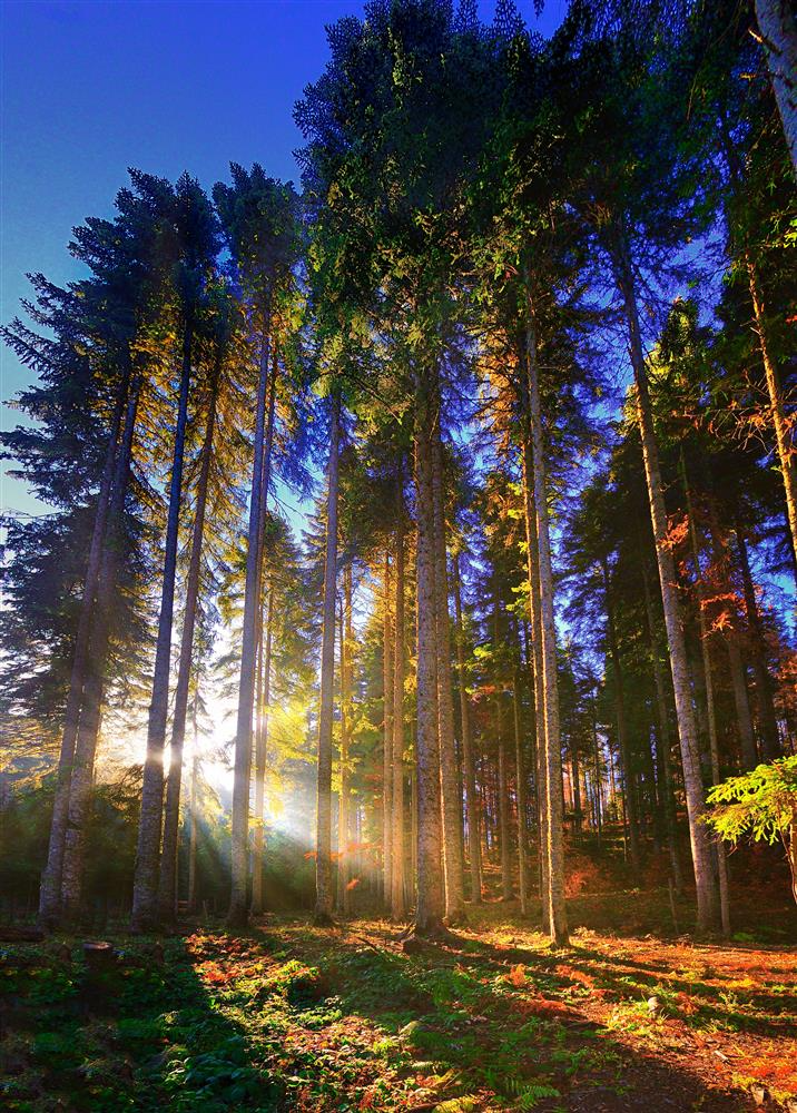 Karabük Fotoğrafları