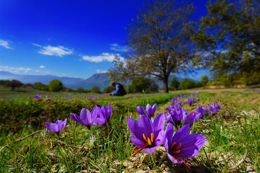 Karabük Fotoğrafları