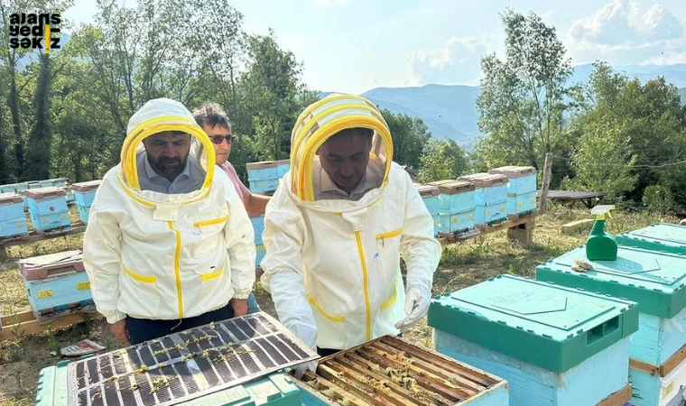 Coğrafi işaretli Yenice Ihlamur balı, 2024 yılı bal hasadı Karakırık Bal Çiftliğinde başladı.