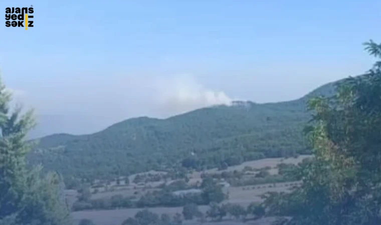 Kale Köyü'nde henüz sebebi bilinmeyen orman yangını hızla büyüyor.