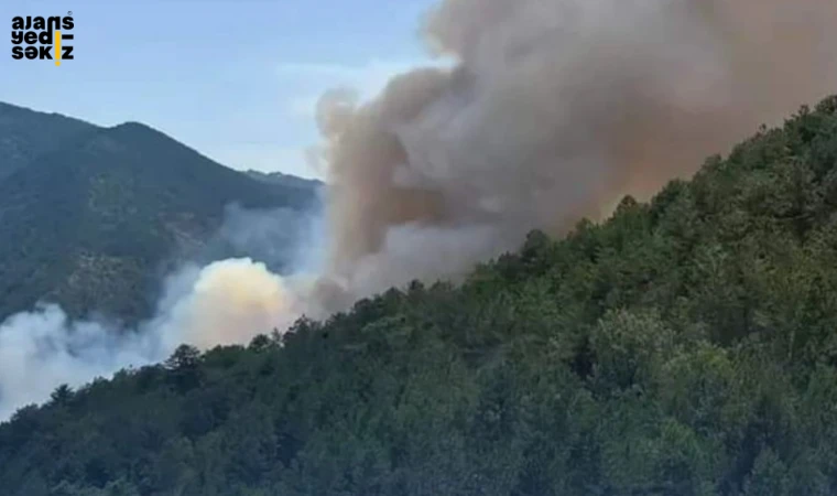 Şiddetli rüzgarın etkisiyle büyüyen yangını kontrol altına alma çalışmaları devam ediyor.