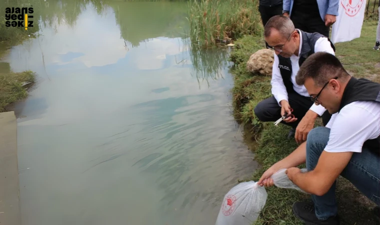 Karabük'te Su Kaynaklarını Balıklandırma Projesi ile yavru balıklar göletlere salındı.