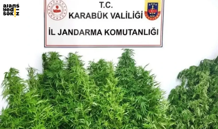 Operasyonda 29 Kök Kenevir ve 5.450 Gram Esrar Ele Geçirildi.