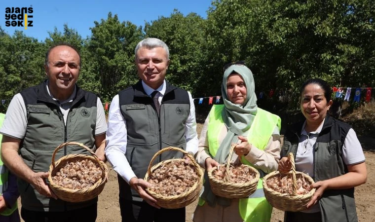 Safran üretimi için ORKÖY tarafından 1 milyon 900 bin liralık bir proje hayata geçirildi.