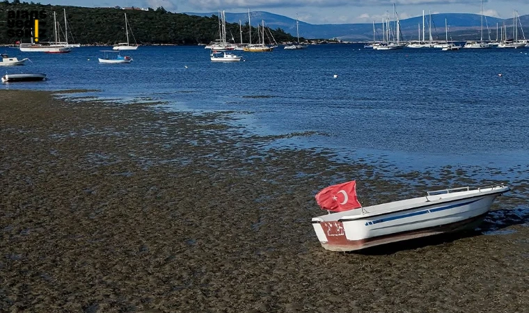 Deniz Çekilmesi Deprem Habercisi mi?