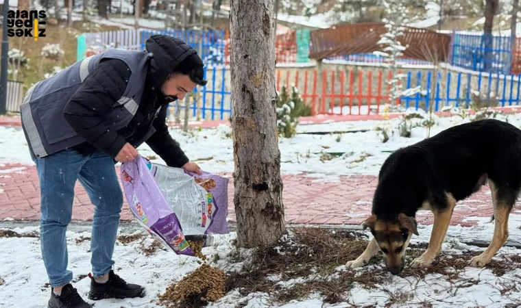 Soğuk hava şartlarında sokak hayvanları için mama desteği sağlandı.