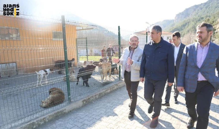 Vali Yavuz: 'Hem Hayvanları Koruyacağız Hem Güvenliği Sağlayacağız'