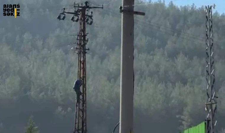 Ceza yiyen öfkeli sürücü, elektrik direğine çıkarak intihar girişiminde bulundu.