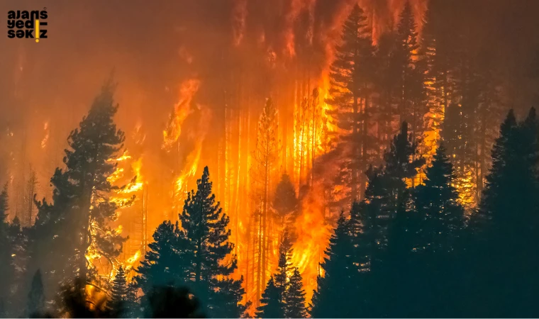 Karabük’teki orman yangınlarında 6 bin 865 hektar alan zarar gördü.