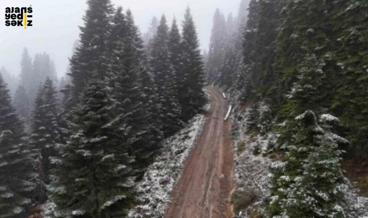 Karabük'ün yüksek kesimlerine ilk kar yağışı gerçekleşti.