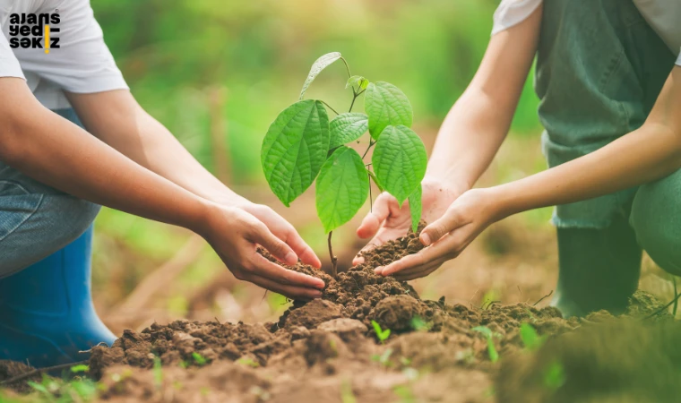 11 Kasım Milli Ağaçlandırma Günü'nde 550 milyon fidan dikimi gerçekleştirilecek.