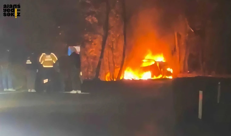 Hafif ticari araç ağaca çarpıp alev aldı, sürücü olay yerinde can verdi.