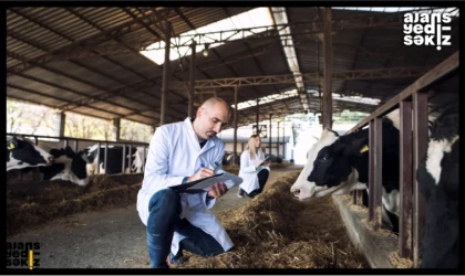 Şap Hastalığı Alarmı!