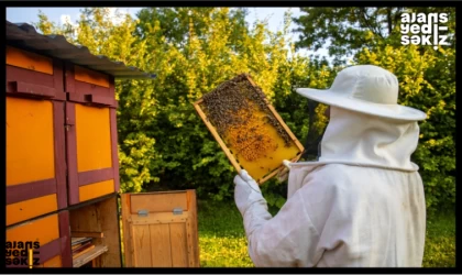 Yenice Ihlamur Balı: Coğrafi İşaretle Taçlandı!