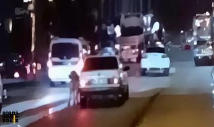 Otomobilinin camından tuttuğu tasma ile köpeği 'gezdirdi' !