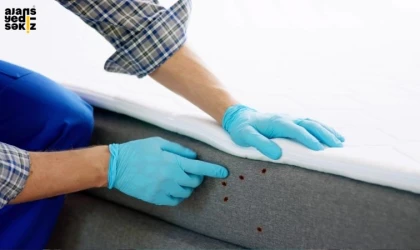 KYK Yurdunda Tahta Kurusu Problemi!