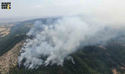 Kastamonu İhsangazi ilçesinde çıkan orman yangınına müdahale 17 saattir sürüyor.