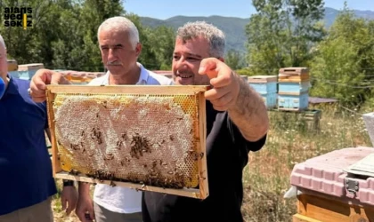 Coğrafi işaretli Yenice Ihlamur Balı doğallığı ve aromasıyla ünü sınırları aşıyor.
