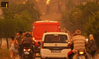İzmir, Bilecik ve Hatay'daki yangınlarda ciddi zarar gördü, iki il için 'Genel Hayata Etkililik Kararı'  alındı.