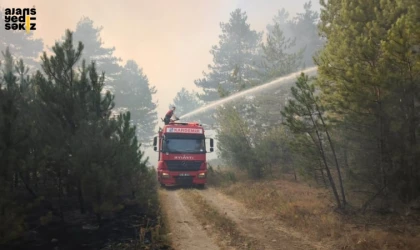 Aladağ'da alevler rüzgarın şiddetiyle büyüyor: Ekipler sefber durumda.