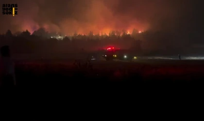 Yangınla mücadeleye iş makinesi, tanker ve transmikser desteği istendi.