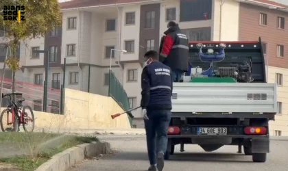 Belediye, Haşere Mücadelesini Aralıksız Sürdürüyor.