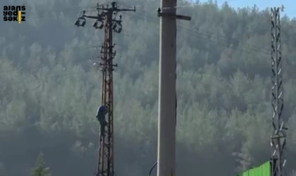Ceza yiyen öfkeli sürücü, elektrik direğine çıkarak intihar girişiminde bulundu.
