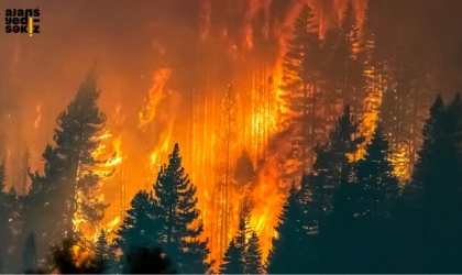 Karabük’teki orman yangınlarında 6 bin 865 hektar alan zarar gördü.