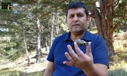 Şenol Diktepe'nin mantar ararken fark ettiği taş, bir meteorit çıktı.