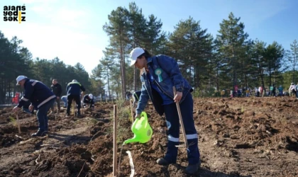 KARDEMİR, "Yeşil Vatan Seferberliği" kapsamında fidan dikimi gerçekleştirdi.