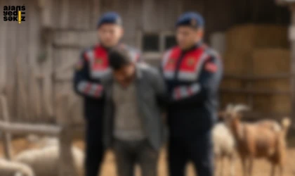 Safranbolu'da 12 ayrı suçtan 30 yıla yakın hapis cezası bulunan firari yakalandı.