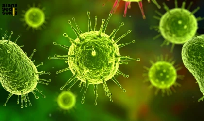 Yeni Varyant Afrika'yı Aştı, 7 Ülkede Görüldü.